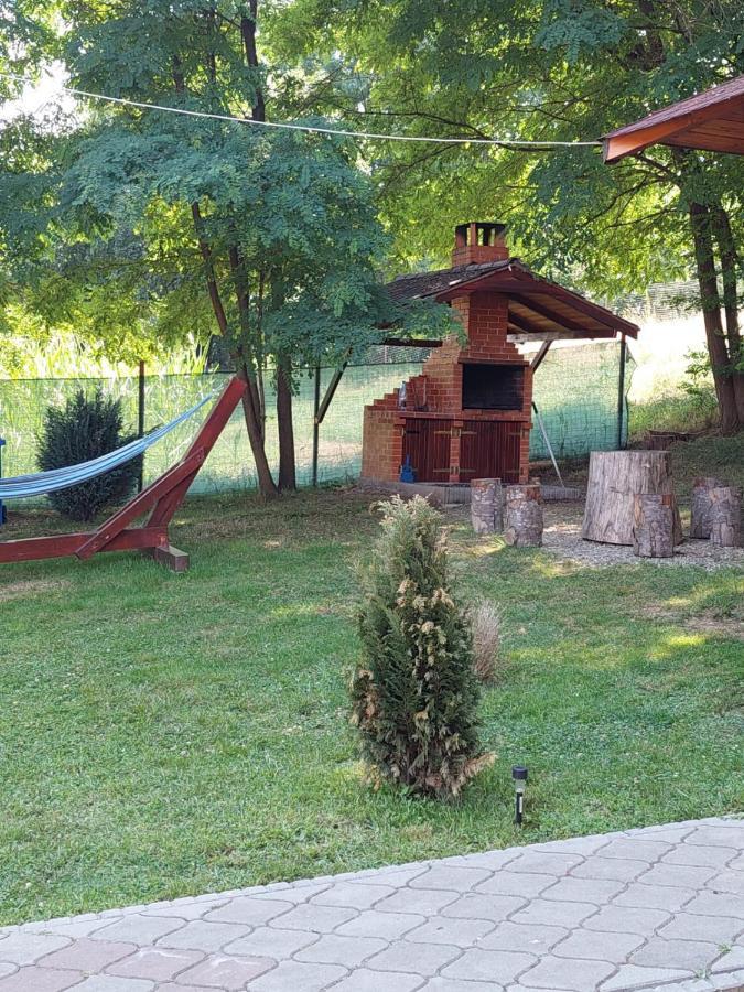 Pensiunea Sonia Cîrţişoara المظهر الخارجي الصورة